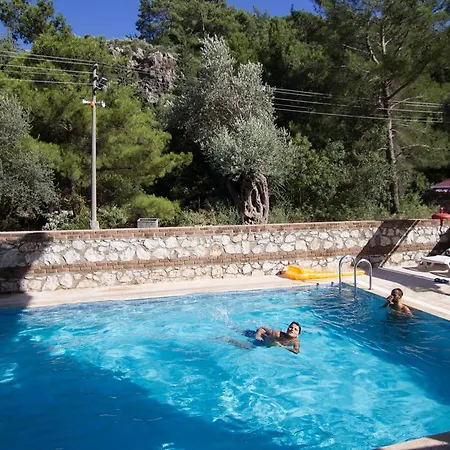 Seniz Tatil