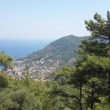 Seniz Tatil * 투룬치
